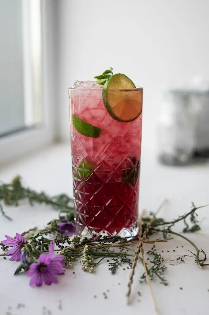 Summer Vibes: Blackberry Mojito Recipe with crushed ice and mint sprig