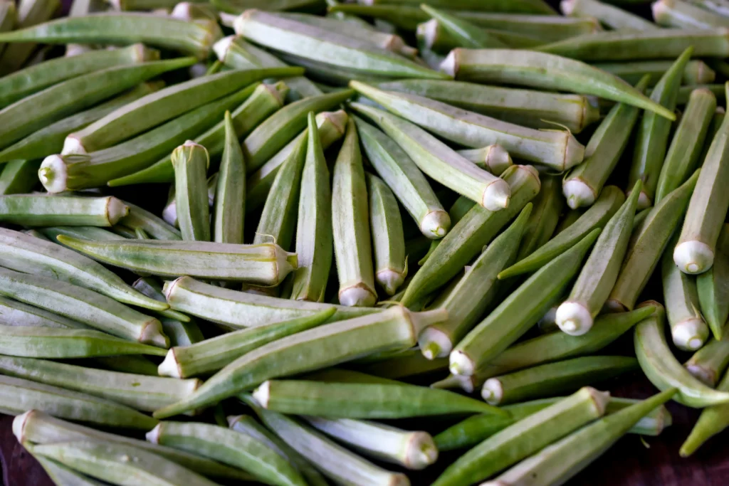 Fresh green okra (bhindi)