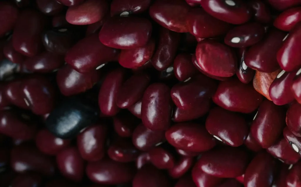 Overhead Shot of Kidney BeansOverhead Shot of Kidney Beans