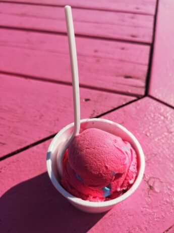 Cup of Raspberry Sorbet with Plastic Spoon